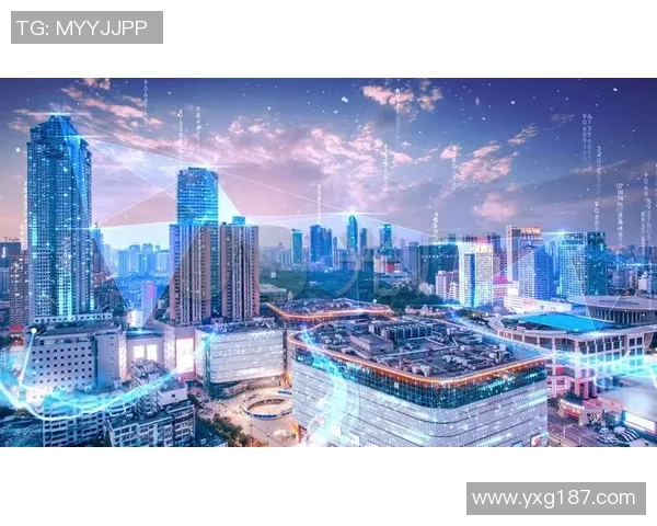 深圳排球队的反击革新之路探索与展望