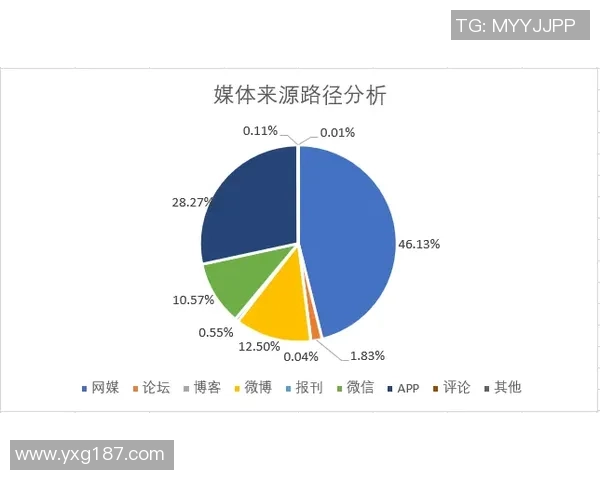 数据分析：成都排球队的力量表现