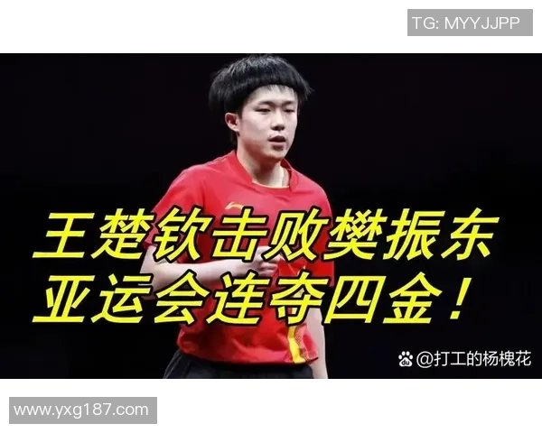 乒乓球评论：北京乒乓球队的运营得失